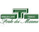 Immobiliare Timavo Forte Dei Marmi Srl