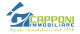 Capponi Immobiliare