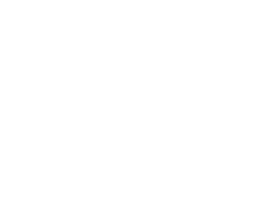 LA VENETA IMMOBILIARE S.R.L.