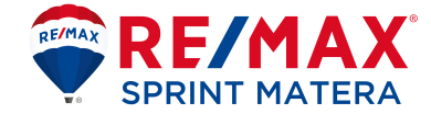 REMAX SPRINT