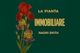PIANTA IMMOBILIARE