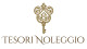 Tesori Noleggio SRL