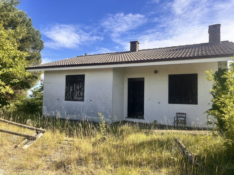 Villa in Mango