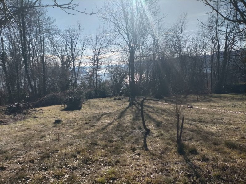 Terreno edificable en Verbania