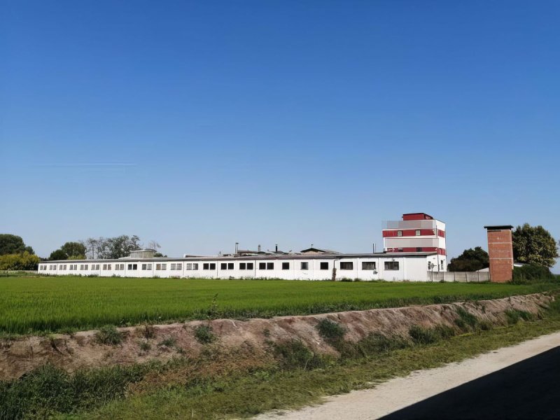 Kommersiell byggnad i Mortara