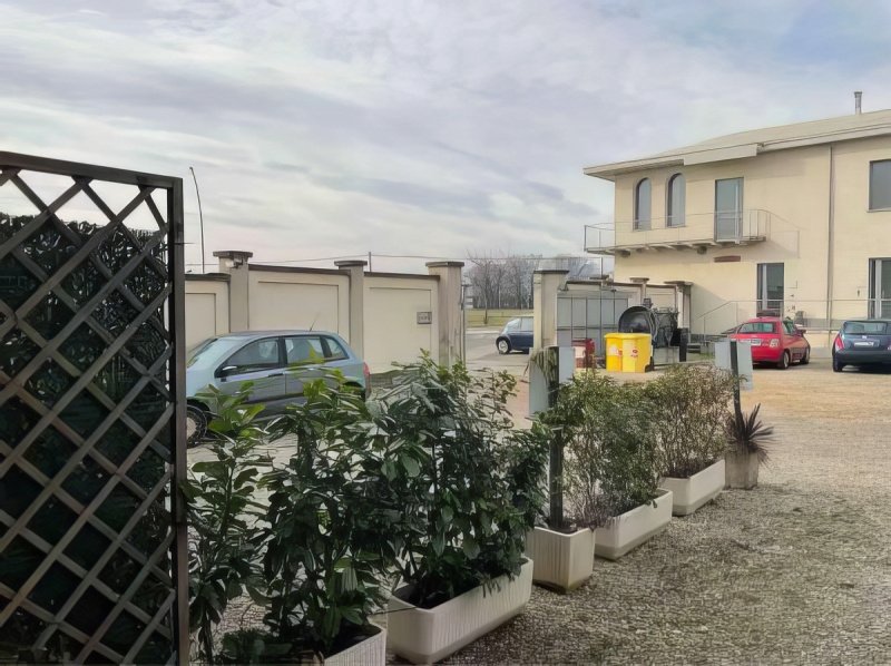 卡塞莱托里内塞商业房产