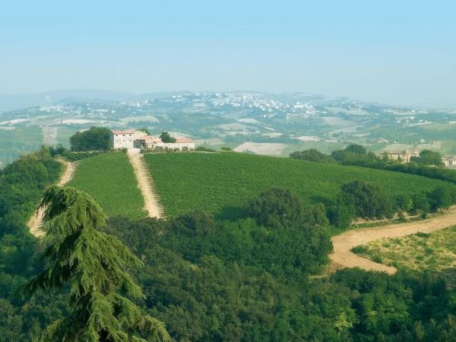 Exploitation agricole à Acquaviva Picena