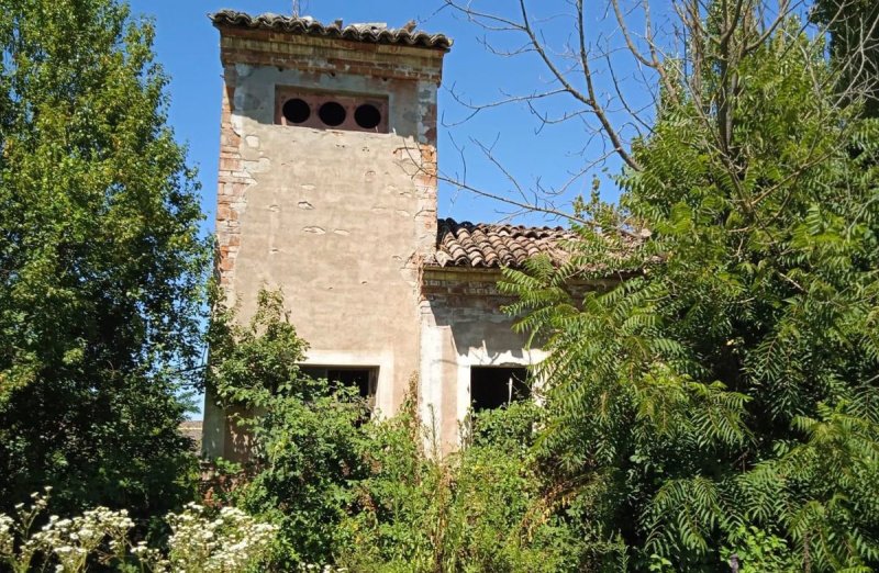 Terreno agrícola em Agazzano