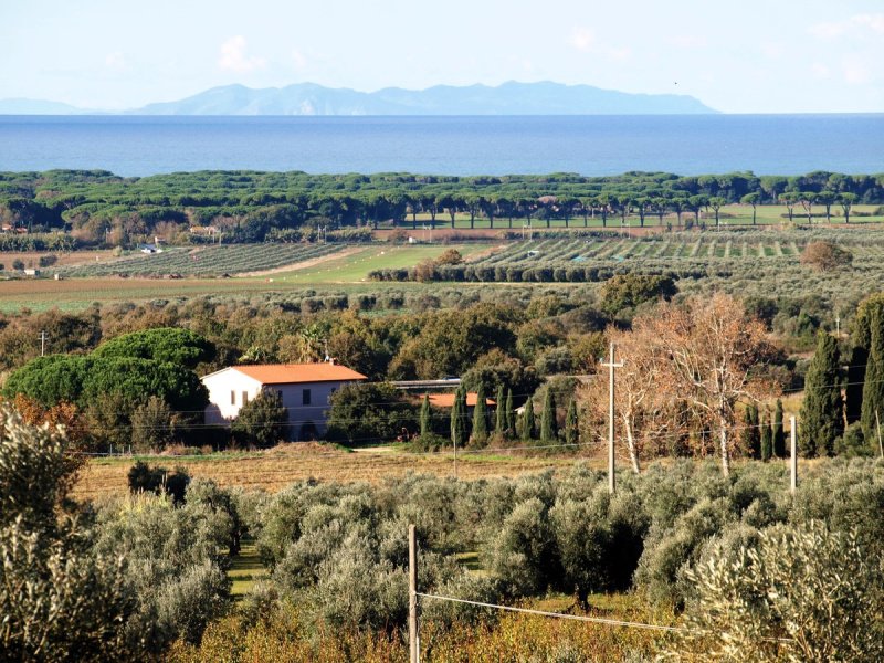 Casolare a Campiglia Marittima