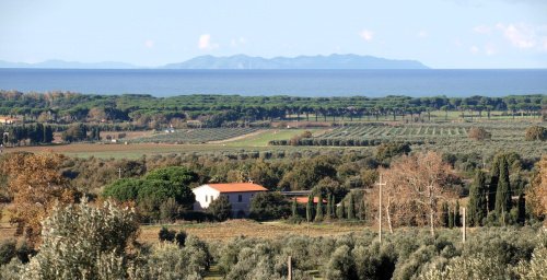 Klein huisje op het platteland in Campiglia Marittima