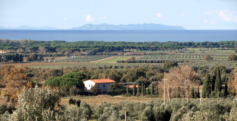 Casolare a Campiglia Marittima