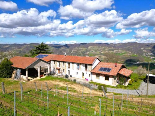 Farmhouse in Vesime