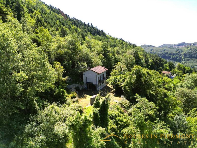 Farmhouse in Arguello