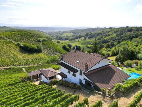 斯特雷维农业公司