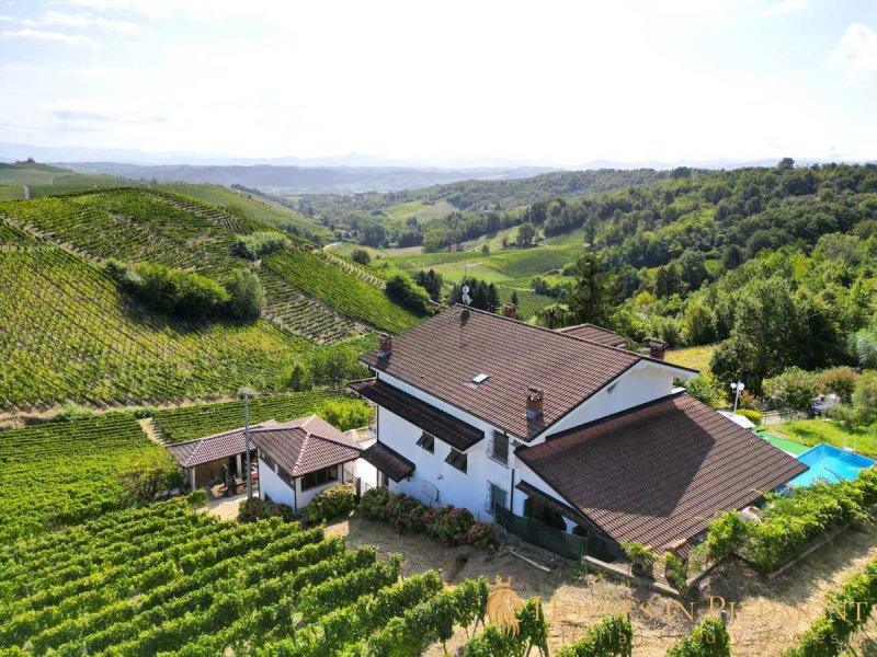 斯特雷维农业公司