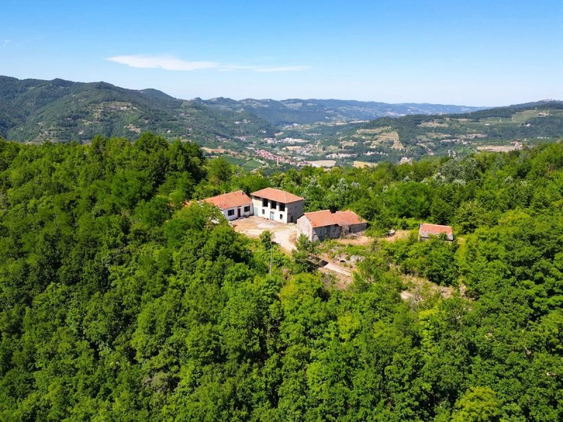 Cabaña en Cortemilia
