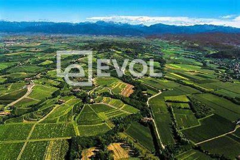 Explotación agrícola en Corno di Rosazzo