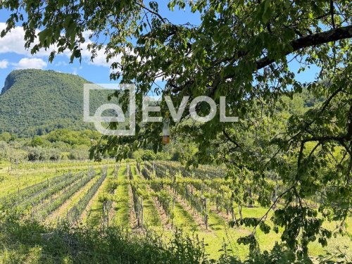 Farm in Cividale del Friuli