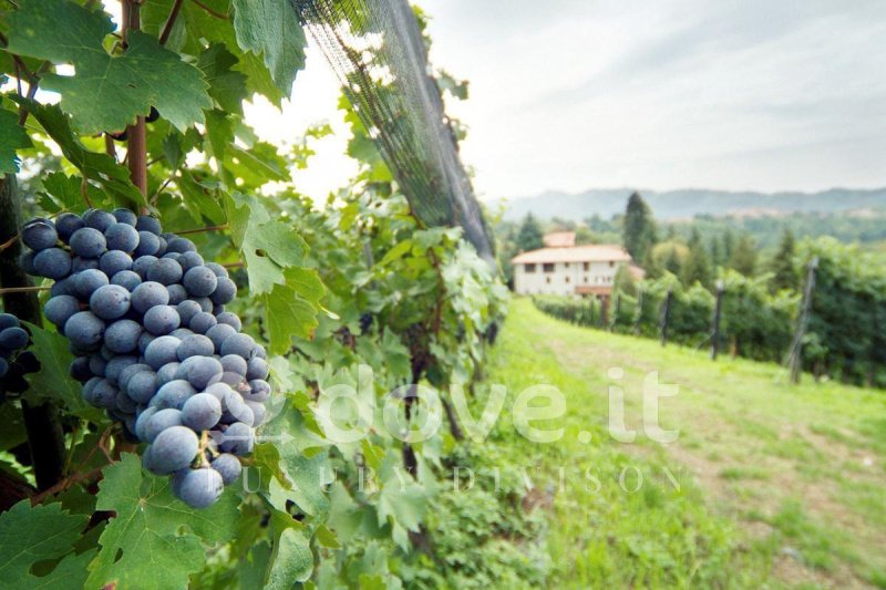 Отдельно стоящий дом в Соризоле