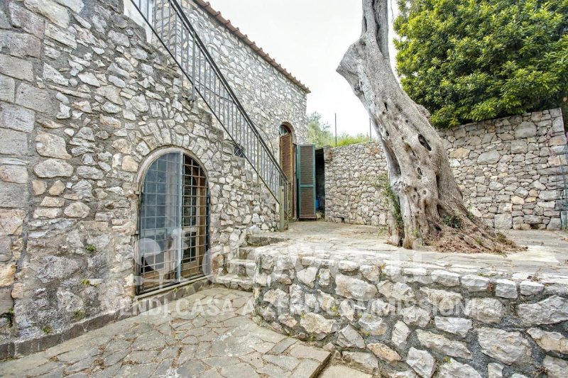 维科埃昆塞别墅