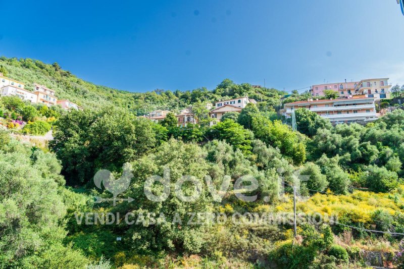 彼得拉布鲁纳公寓