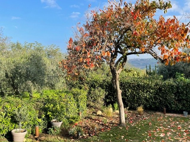 Casa indipendente a Fratte Rosa