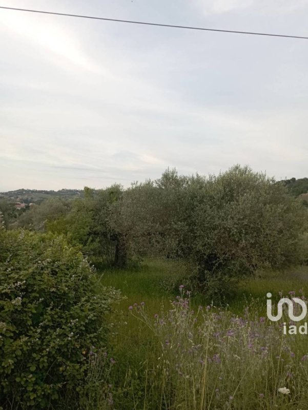 Terreno agricolo a Cappelle sul Tavo