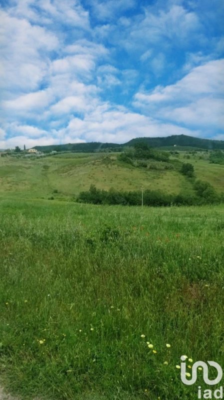 Agricultural land in Scansano