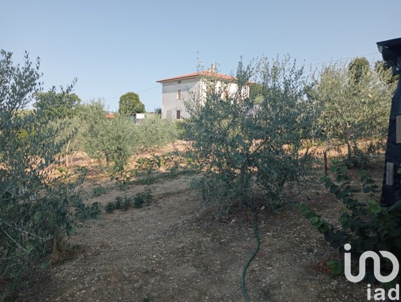 Terreno agricolo a Monte Porzio