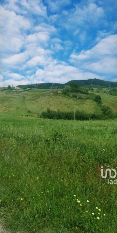 Landwirtschaftliche Fläche in Scansano