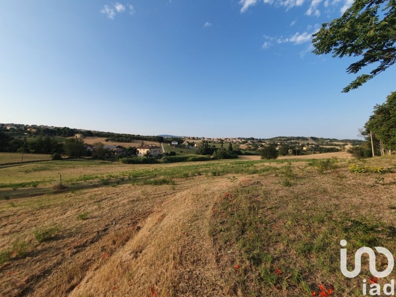 Terreno agricolo a Castelfidardo