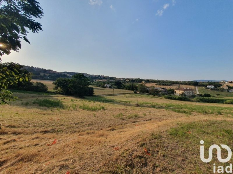 Terreno agricolo a Castelfidardo