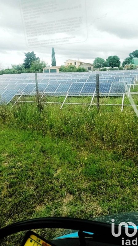 Terreno agrícola en Magliano in Toscana