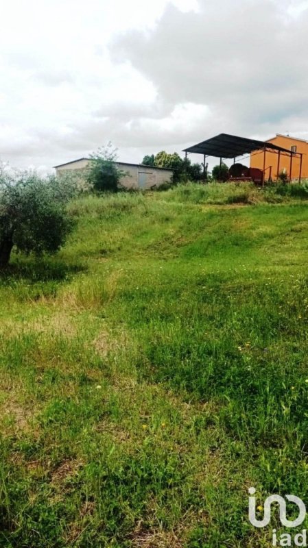 Landwirtschaftliche Fläche in Magliano in Toscana