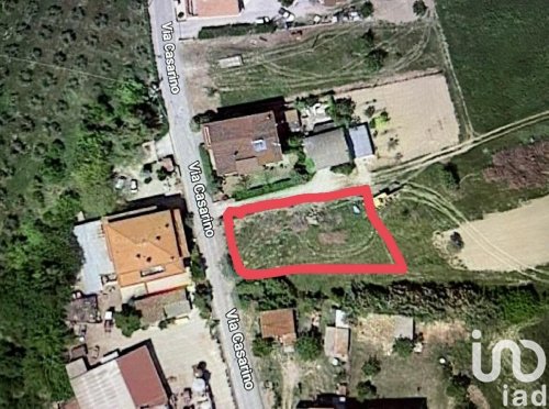 Building plot in Notaresco