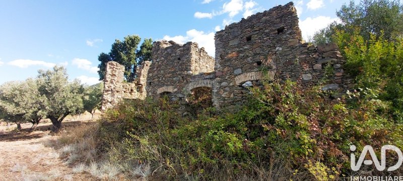 Сельскохозяйственный участок в Фалерна