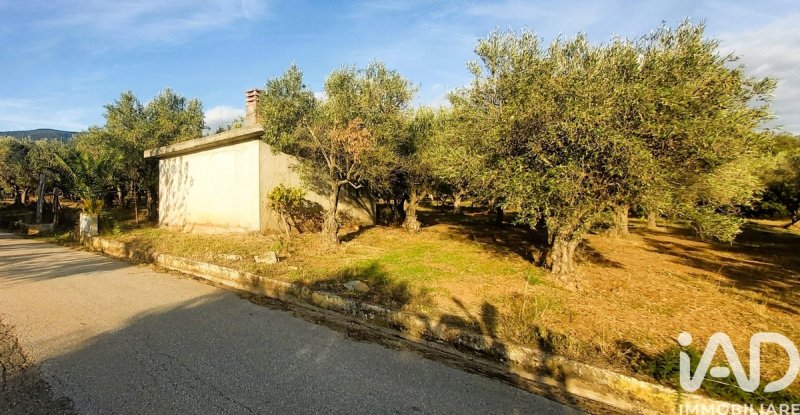 Jordbruksmark i Falerna