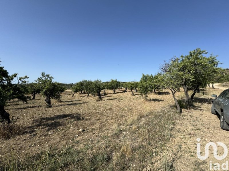 Agricultural land in Avola