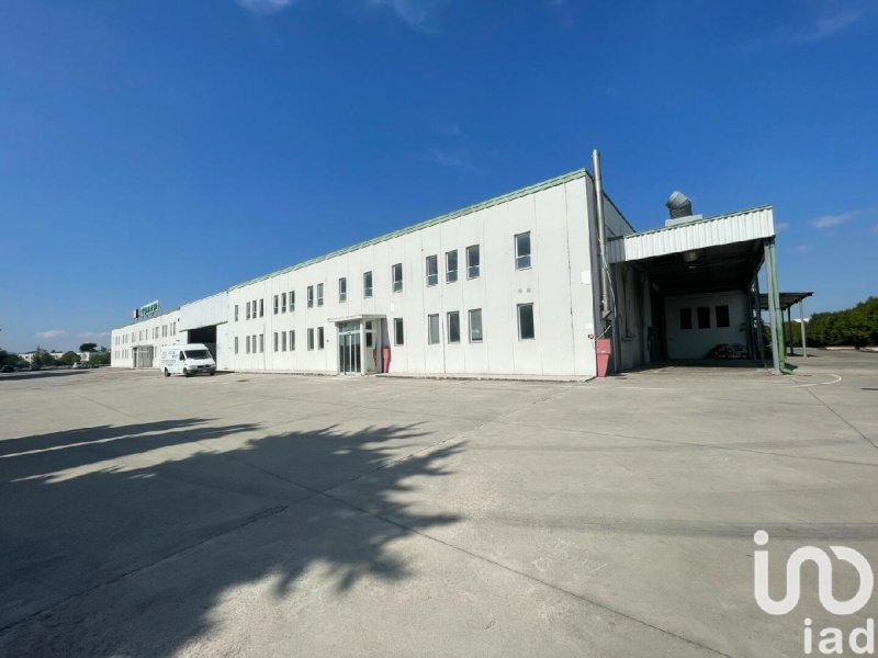 Commercial property in Morrovalle