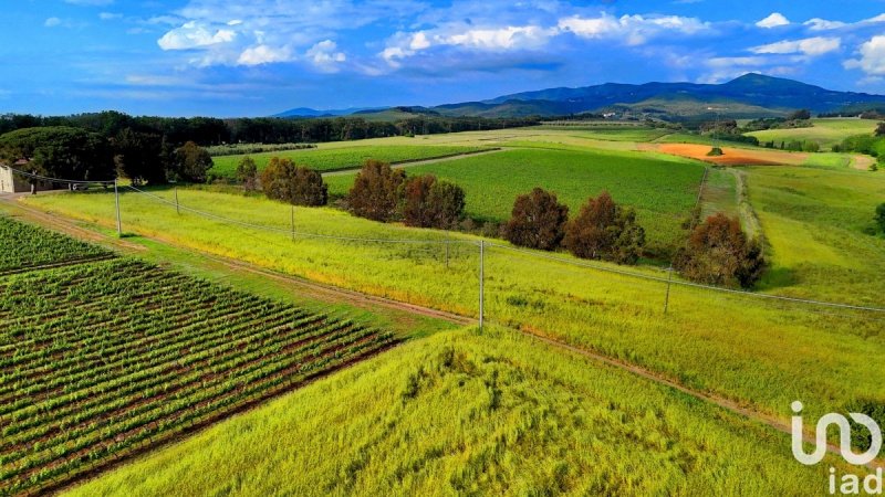 Appartamento a Rosignano Marittimo