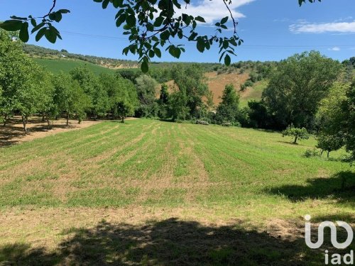 Landwirtschaftliche Fläche in Loreto Aprutino