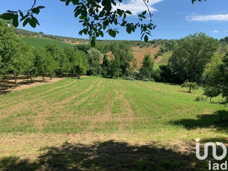 Landbouwgrond in Loreto Aprutino