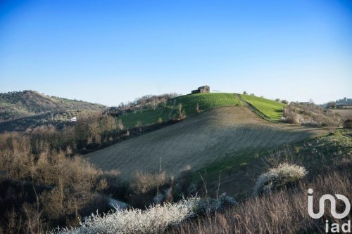 Terrain agricole à Picciano