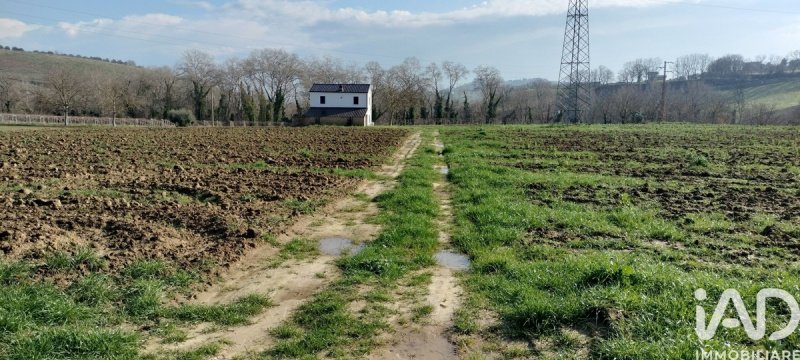 圣安杰洛城农用土地