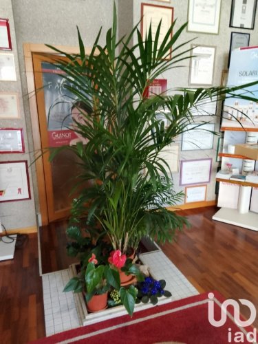 Commercial property in Morrovalle