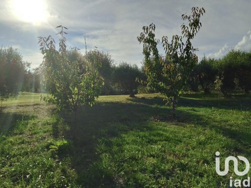 Строительный участок в Фермо