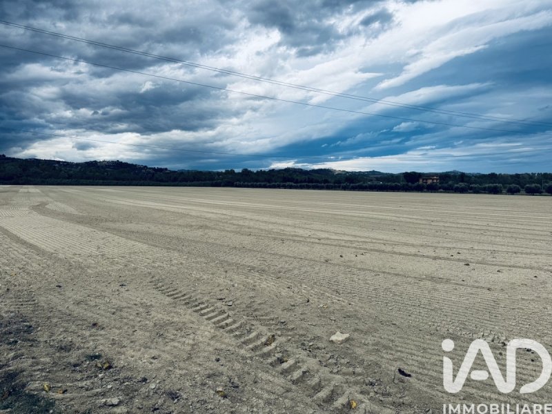 Сельскохозяйственный участок в Контрогуерра