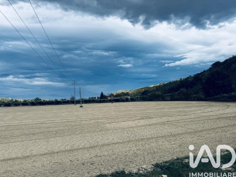 Сельскохозяйственный участок в Контрогуерра