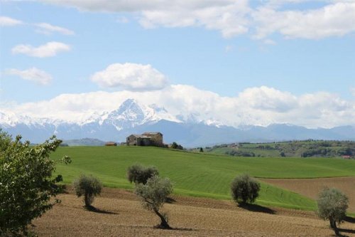 Explotación agrícola en Mosciano Sant'Angelo