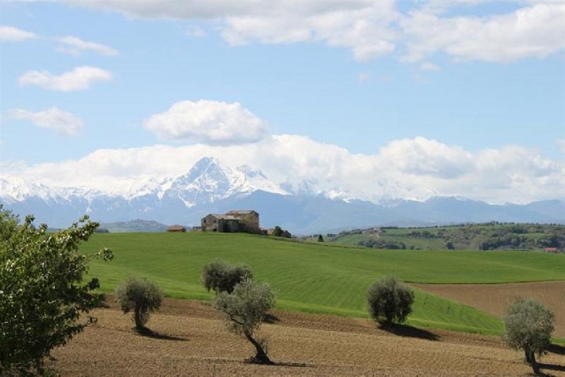 Landwirtschaftlicher Betrieb in Mosciano Sant'Angelo